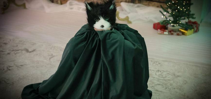Educational fairy tale for children "The Cat in the Christmas Bag and the City of Forgotten Dreams"
